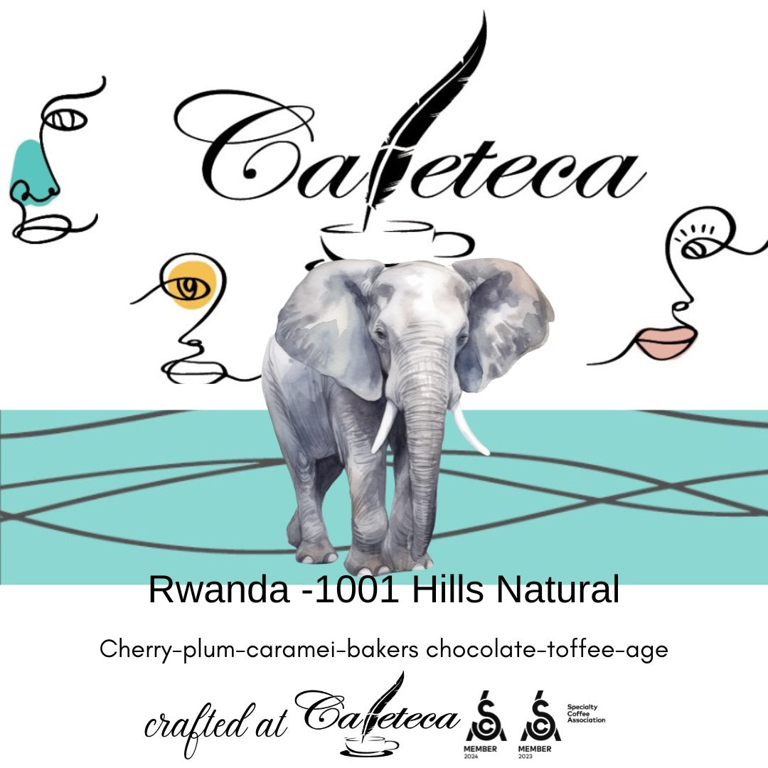 Rwanda 1001 Hills Natural Specialty Coffee
