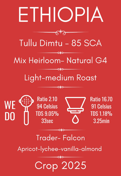 Ethiopia Tullu Dimtu Specialty Coffee