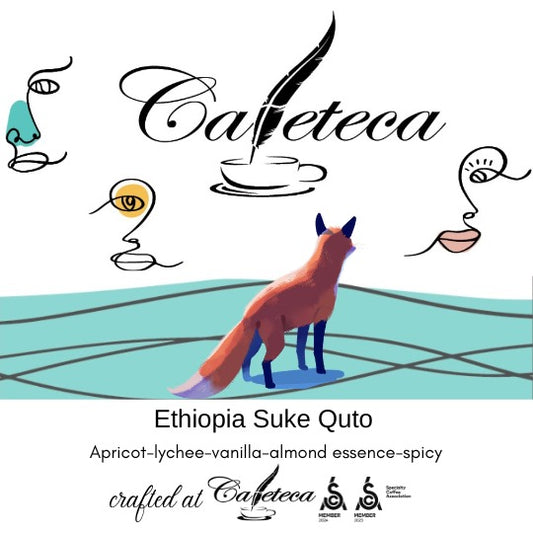 Cafea de Specialitate Ethiopia Suke Quto
