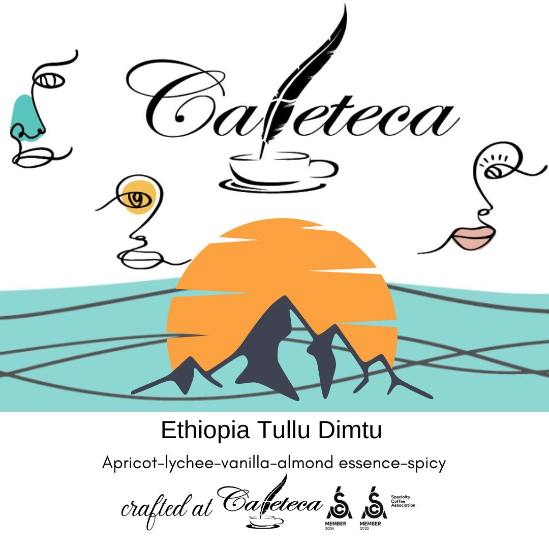 Ethiopia Tullu Dimtu Specialty Coffee